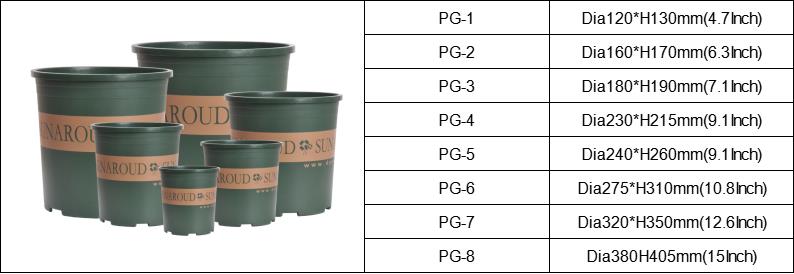 succulent plant flower pot vaso de flores com planta suculenta