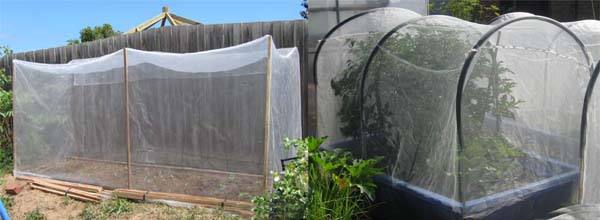 anti insect net rede anti insetos