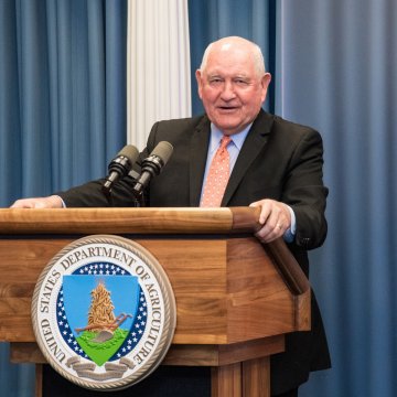 agriculture shade net rede de sombra agrícola