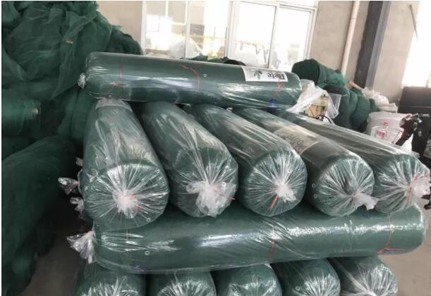 olive net7 rede de azeitona7