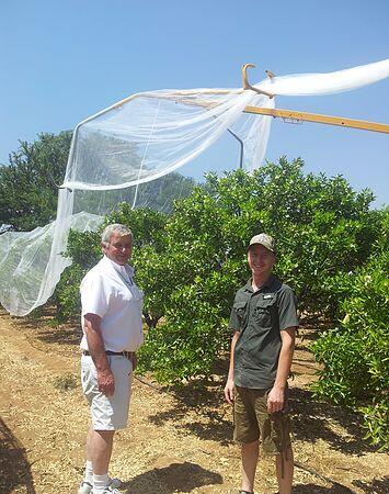 bee net8 rede de abelhas8