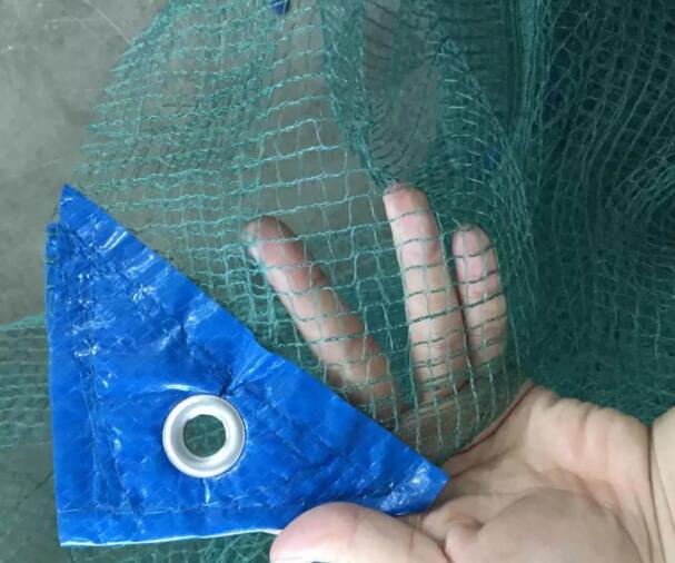 olive net10 rede de azeitona10