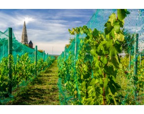 green_bird_netting_40gr green_bird_netting_40gr