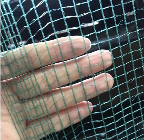 olive net8 rede de azeitona8