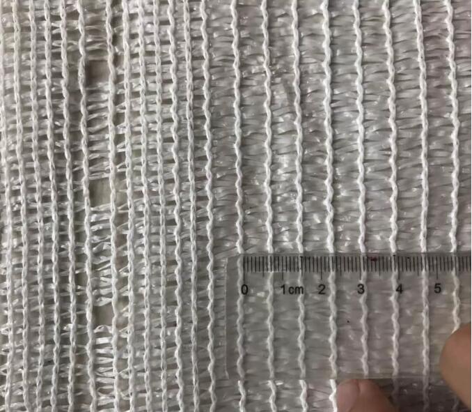 olive net19 rede de azeitona19