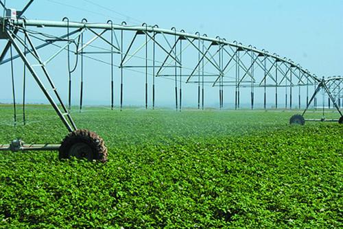 agriculture plastic net rede plástica agrícola