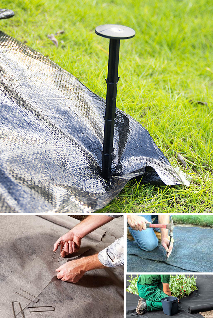 ground nail4 prego moído4