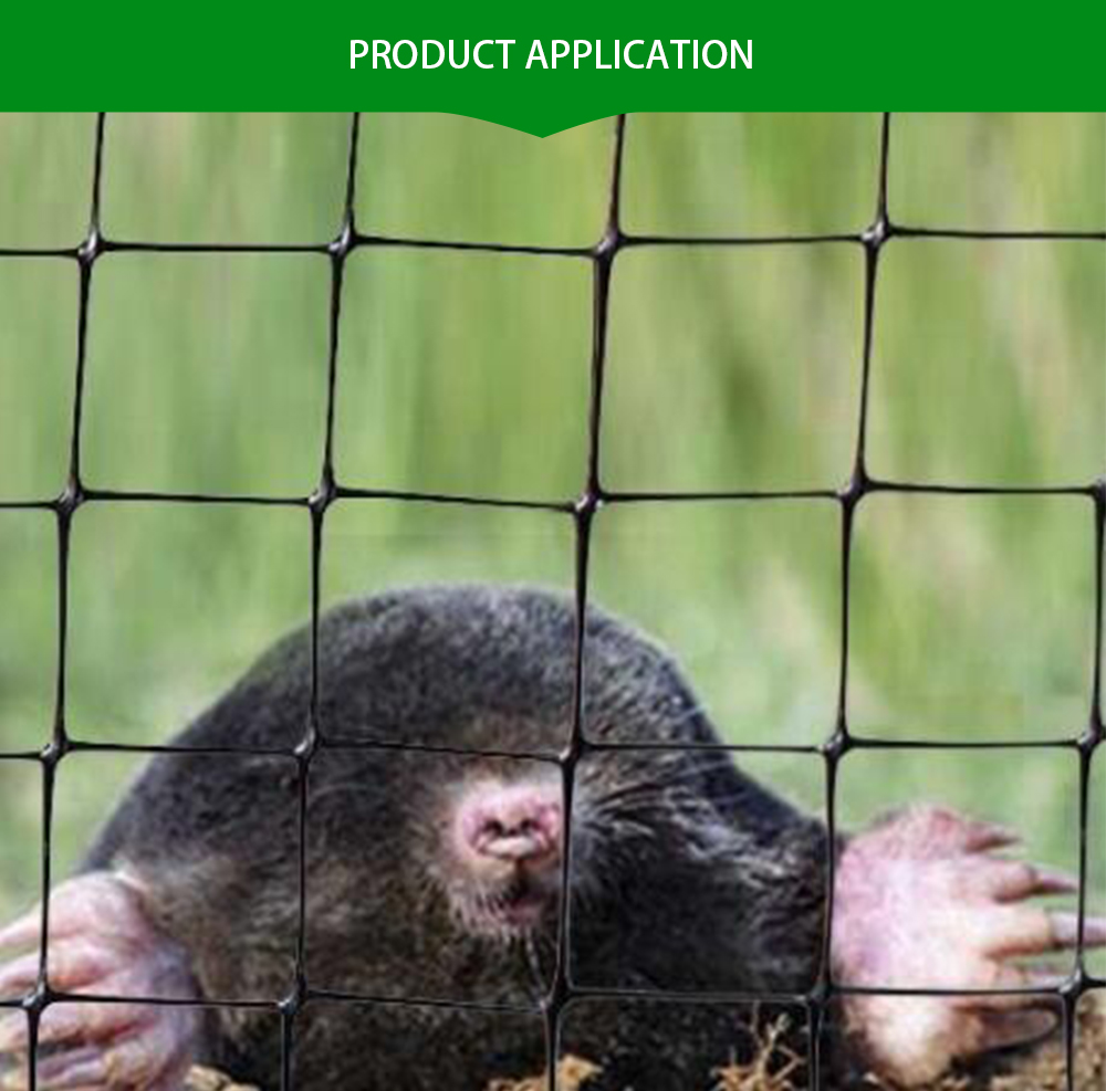 anti mole net6 rede anti-toupeira6