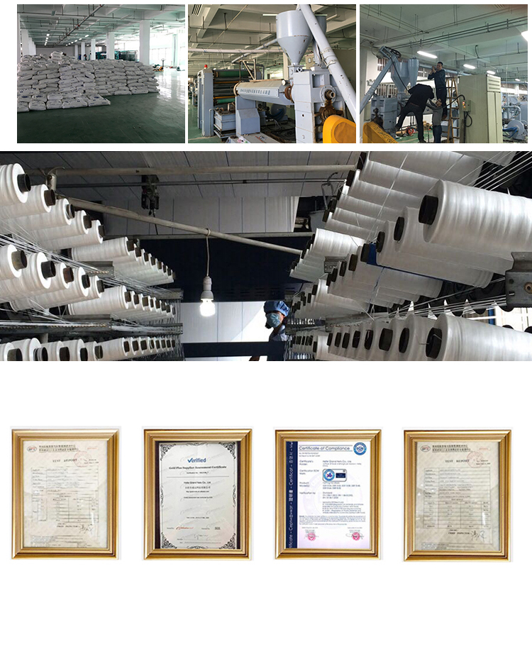 flower net20 rede de flores20