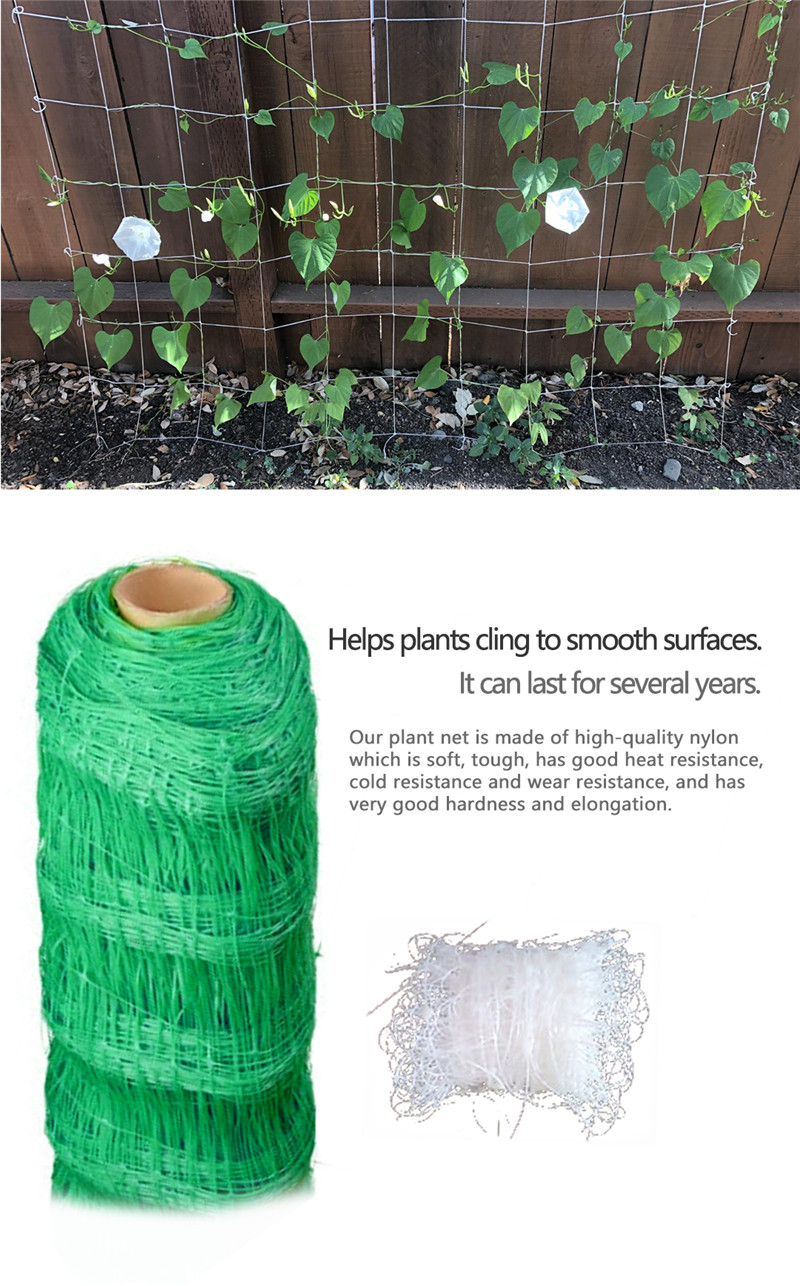 plant support net 6 rede de suporte de plantas 6