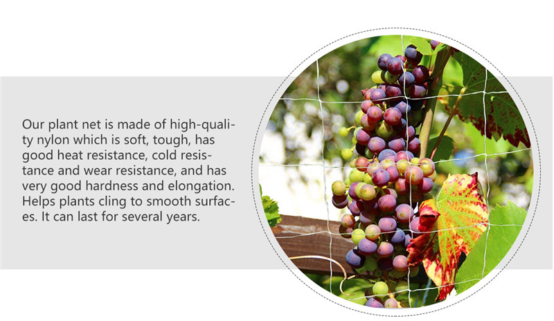 plant support net 3 rede de suporte de plantas 3