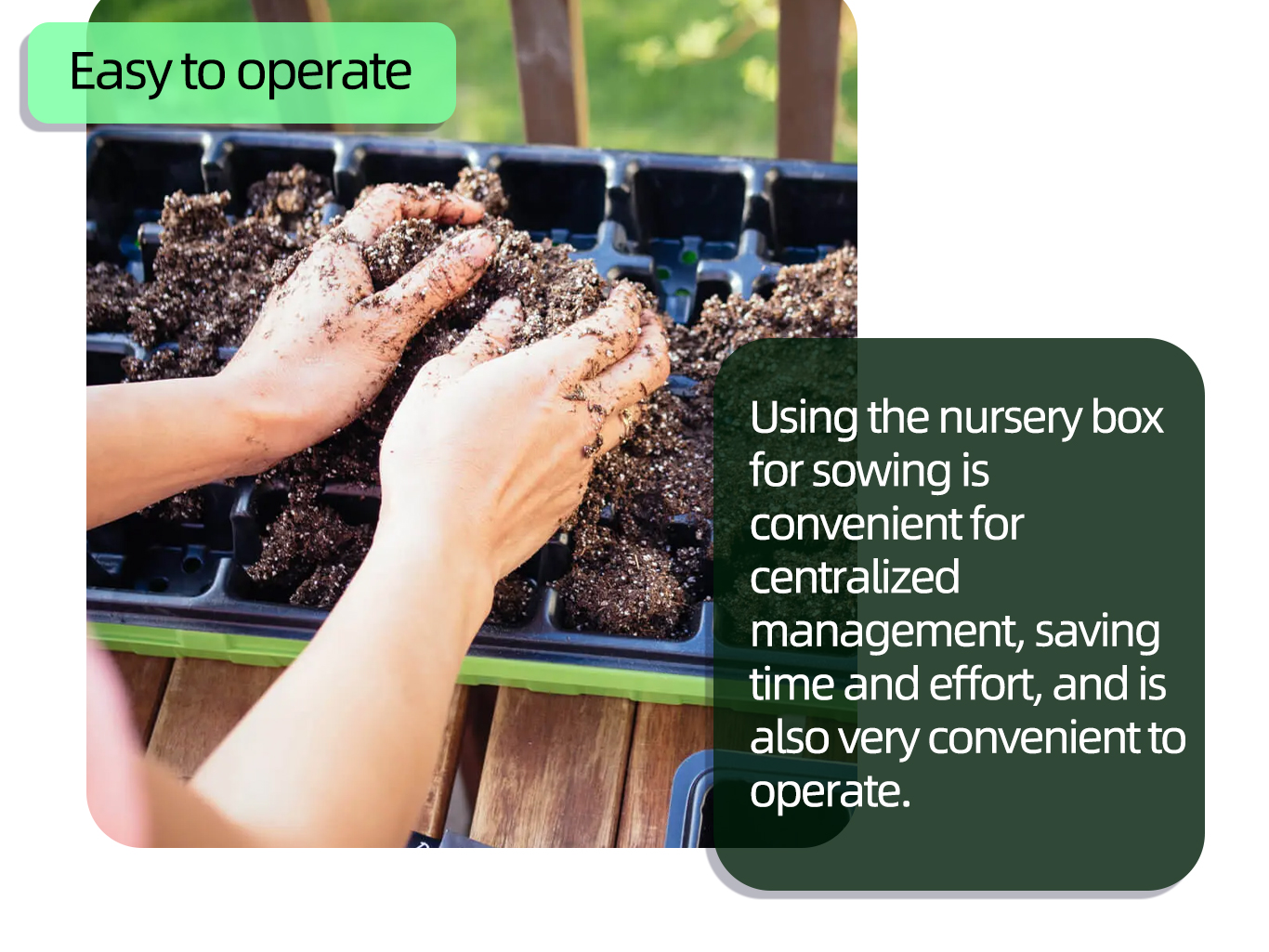 Nursery pot 2 vaso de berçário 2