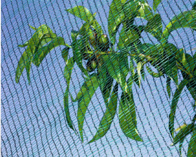 hail netting for gardens wholesale rede contra granizo para jardins no atacado