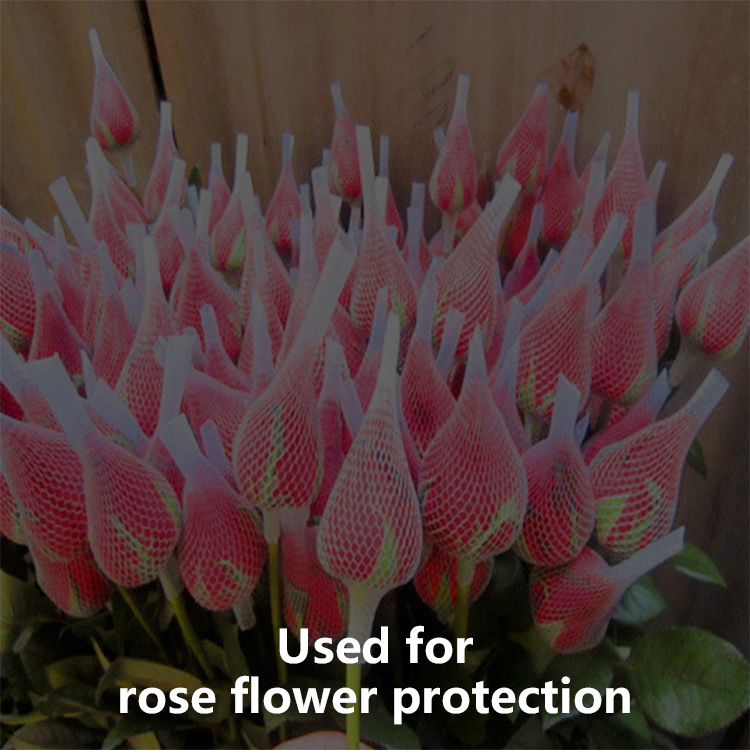 flower net15 rede de flores15