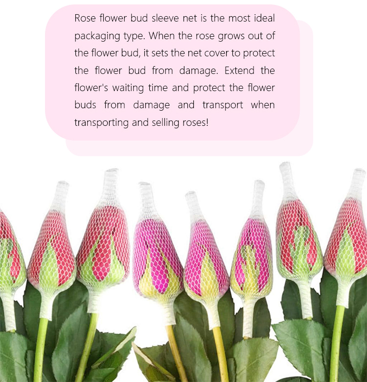 flower net3 rede de flores3