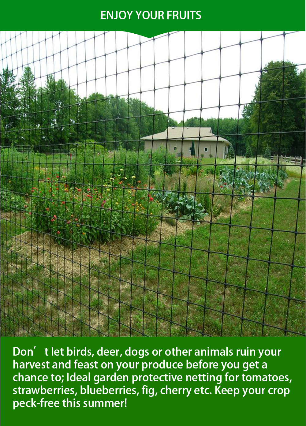 anti mole net11 rede anti-toupeira11