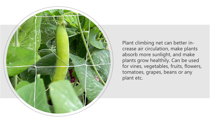plant support net 4 rede de suporte de plantas 4