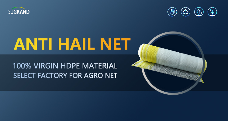 hail netting for vineyards Redação de granizo para vinhedos