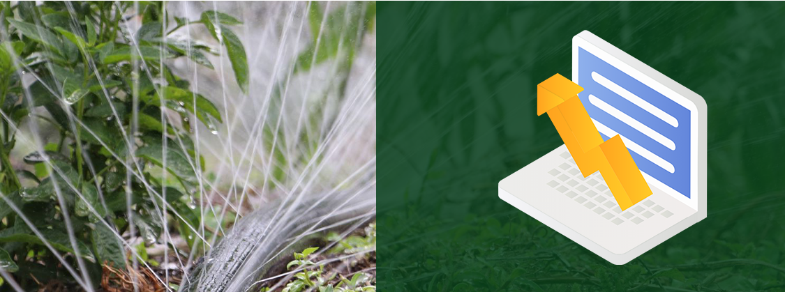 Drip Irrigation6 Irrigação por gotejamento6