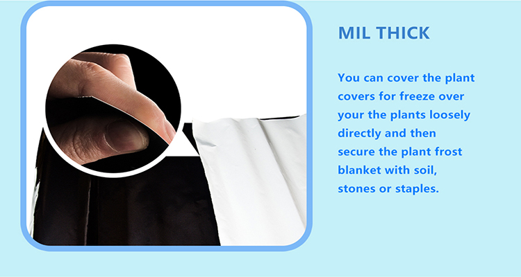 mulch film (7) filme de cobertura (7)