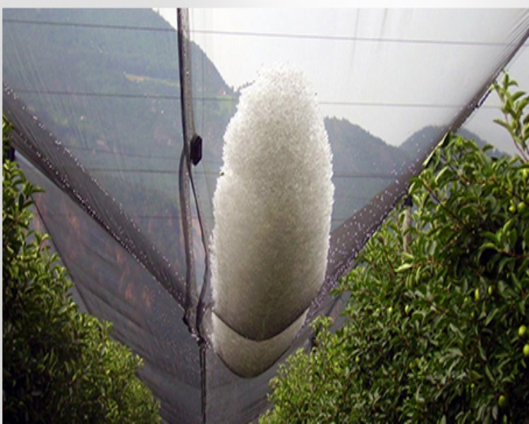 orchard hail netting Rede de proteção contra granizo para pomar,