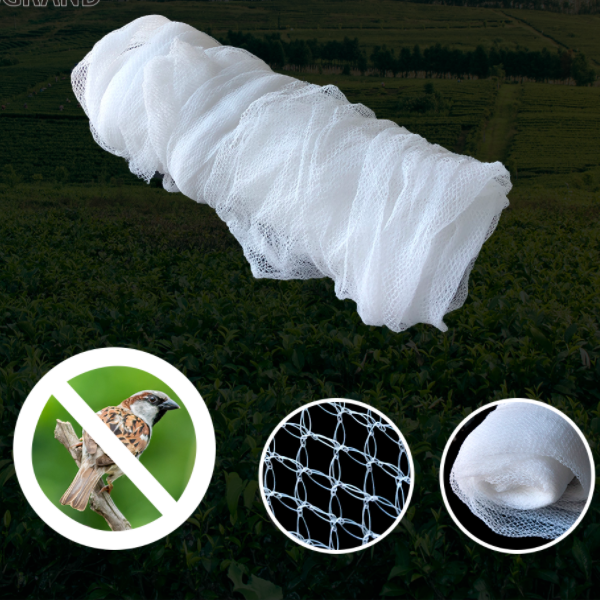 O significado de redes anti-pássaros para controle de aves