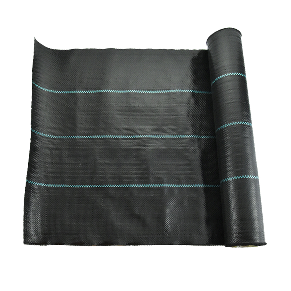 Black Control Vegetação A erva daninha do solo Proteção ao solo Crescimento da planta