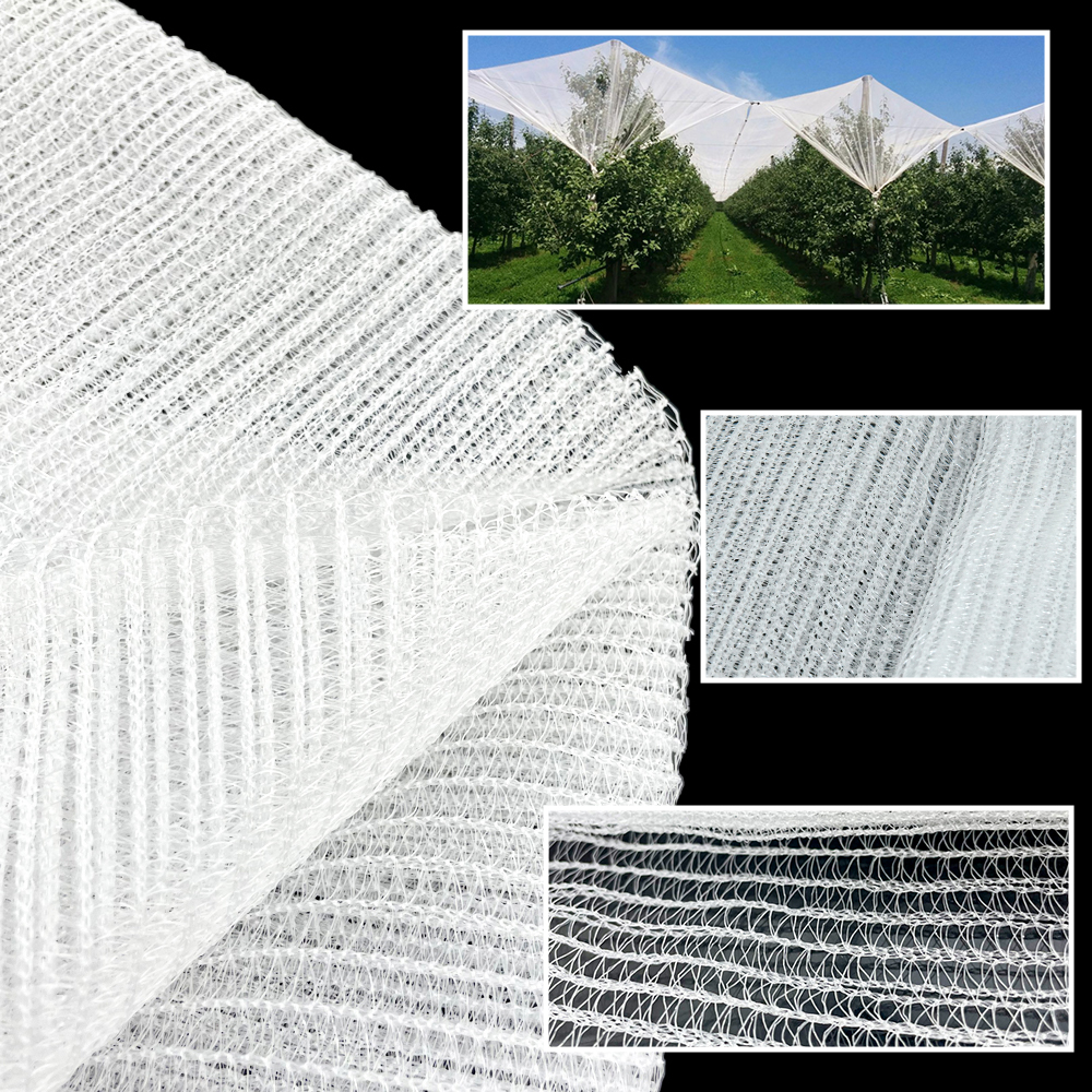 Agricultural HDPE Plastic Anti Hail Mesh líquido Branco à prova de granizo rede 