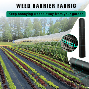 Customization Garden Agricultural Garden Black Plastic Anti Ground Tampa