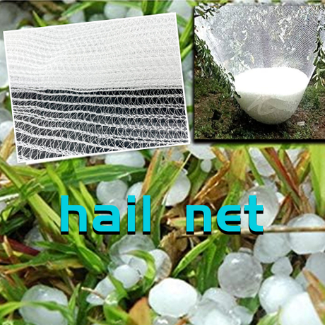 hail netting for gardens.jpg