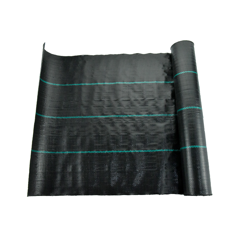 Fábrica de China 70g Paisagem Agrícola PE Tampa do solo