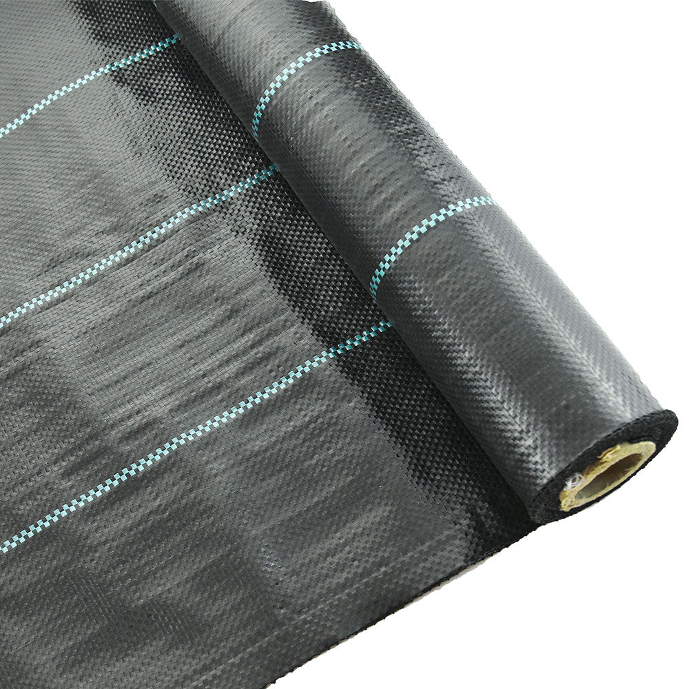 Black Control Vegetação A erva daninha do solo Proteção ao solo Crescimento da planta