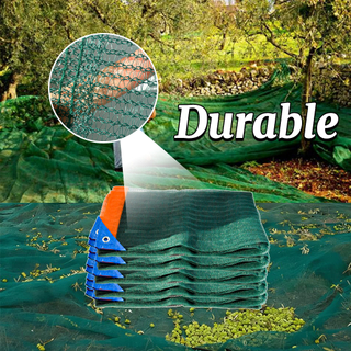 A azeitona plástica da agricultura coleta a malha líquida da colheita do fruto a Tunísia