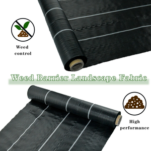 Black Control Vegetação A erva daninha do solo Proteção ao solo Crescimento da planta