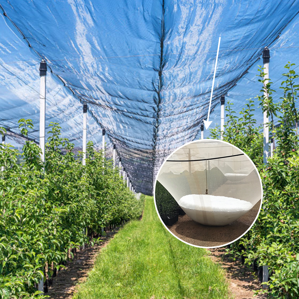 Fornecimento direto da fábrica Rede de granizo para jardim de 4 mm x 5 mm