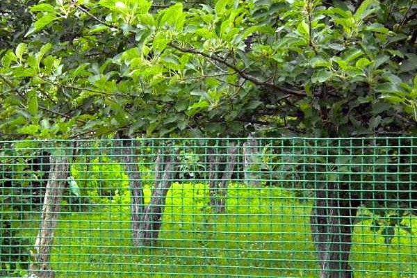 Malha de pl&aacute;stico bop