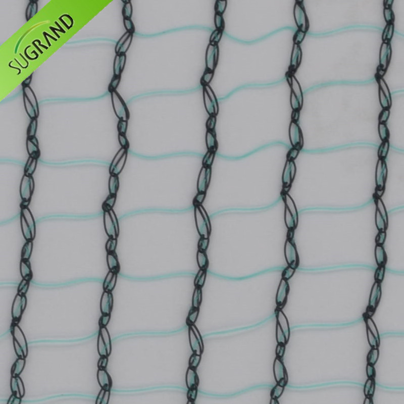 100% Novo HDPE 31G/M2 verde e preto Rede de Colheita de Azeitona