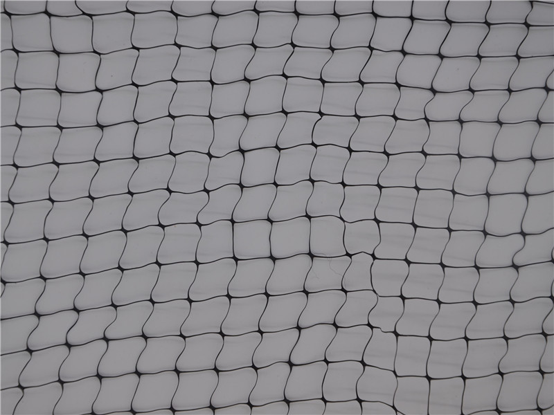 Black Plant Support Let Sale online