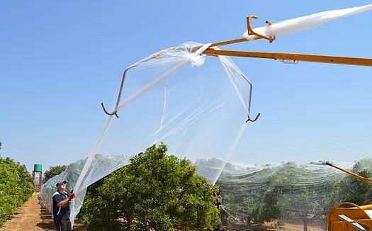 Summer Shade Net Pontos principais de instalação