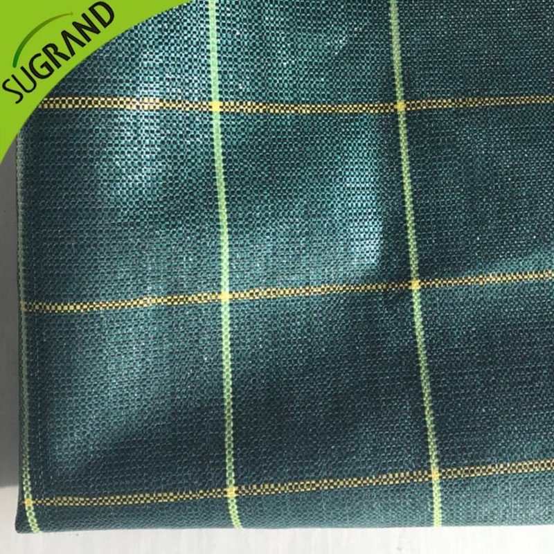 Tampa do solo de 130gsm verde de alta qualidade/tapete de ervas daninhas