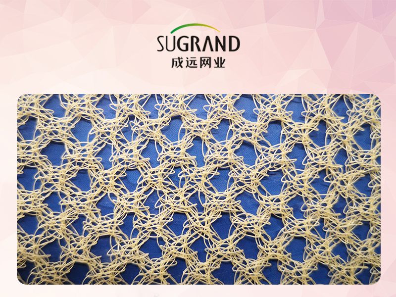 56gsm rede de colheita de azeitona amarela areia