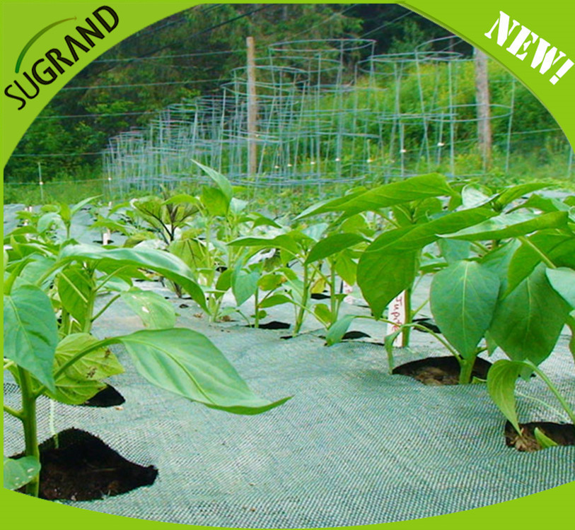 Benefícios da ampla cobertura do solo