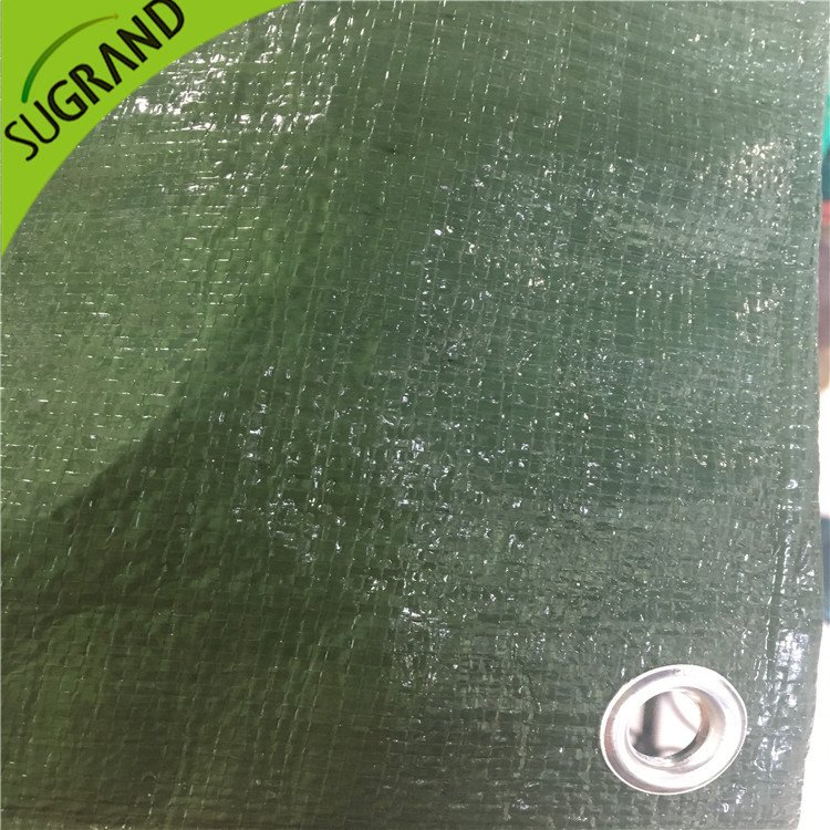 150GSM Green Ground Cobert para jardins