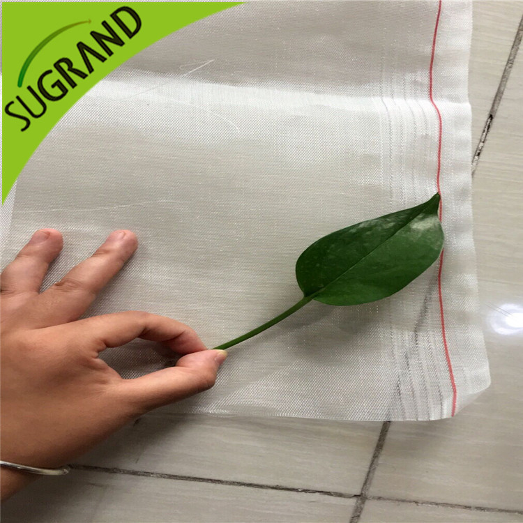 Como deixar escapar o vento e impedir a rede de insetos na estufa?