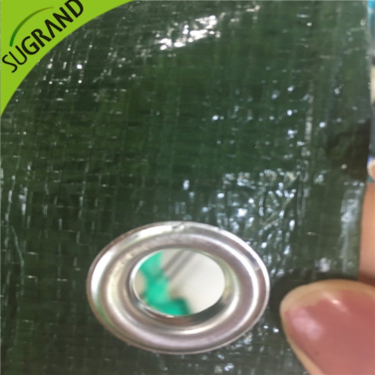 150GSM Green Ground Cobert para jardins