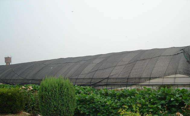 Que cor é boa para redes de sombra?