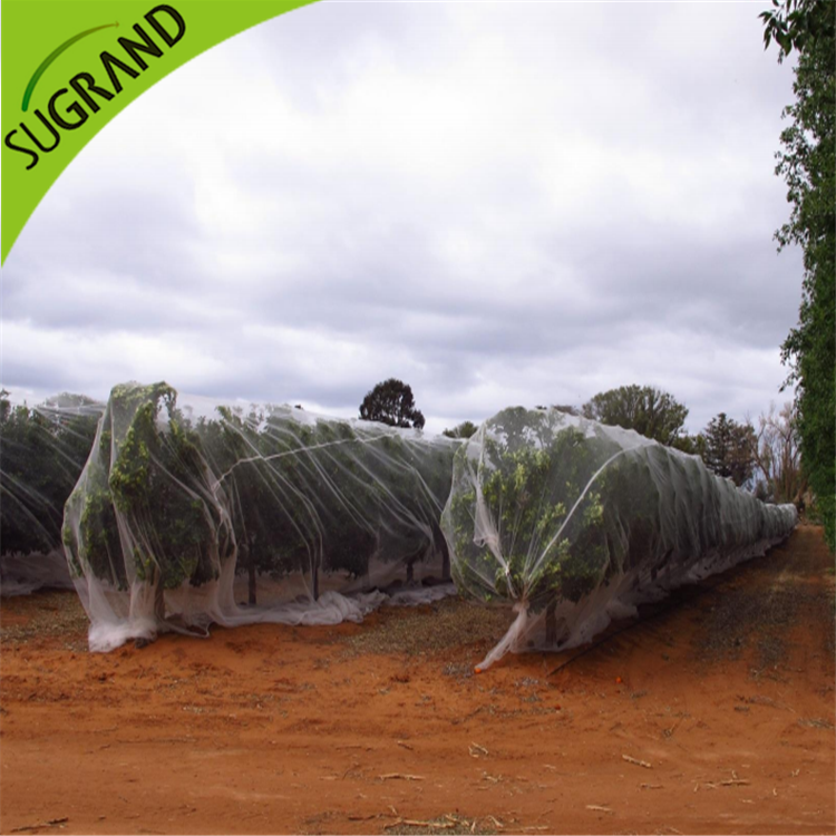 Rede anti-abelha transparente online