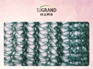 Rede de Colheita de Azeitonas Verdes Triângulo de Pomar