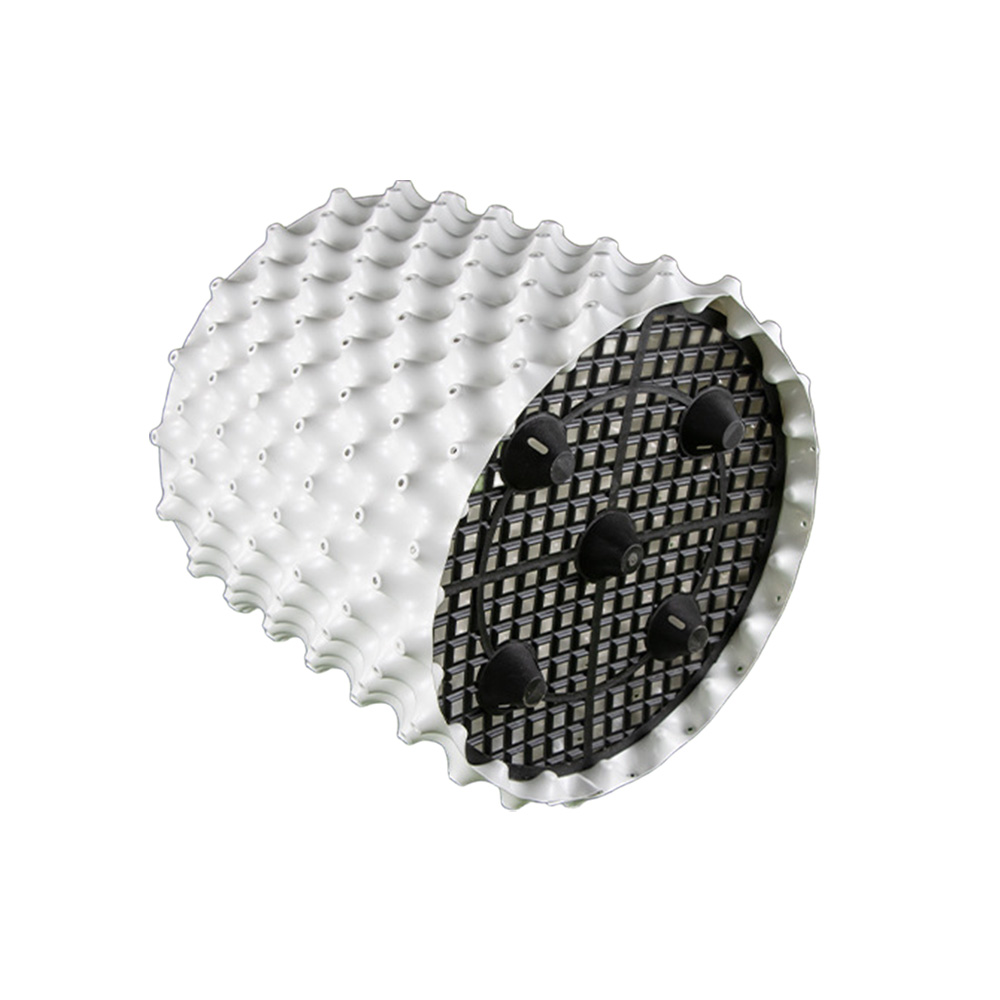 Plant Raiz Controlling Container