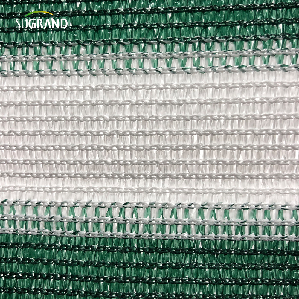 Alta qualidade 6 agulhas